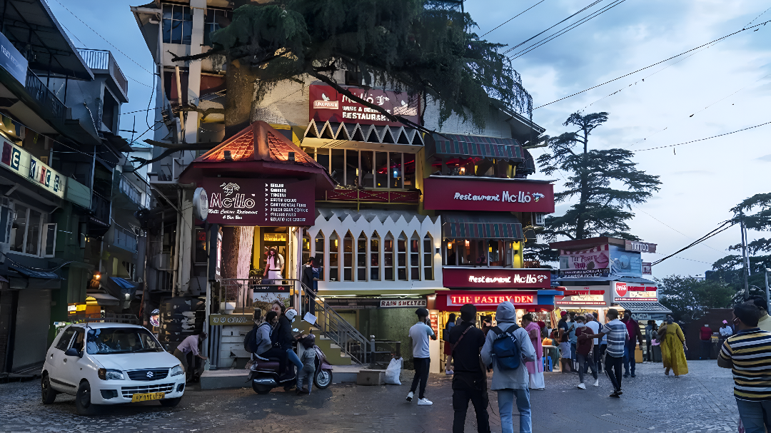 local taxi service in Dharamshala